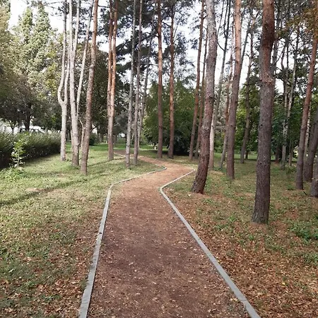 Tiski Mir * Becej