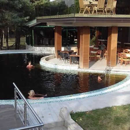 Tiski Mir
